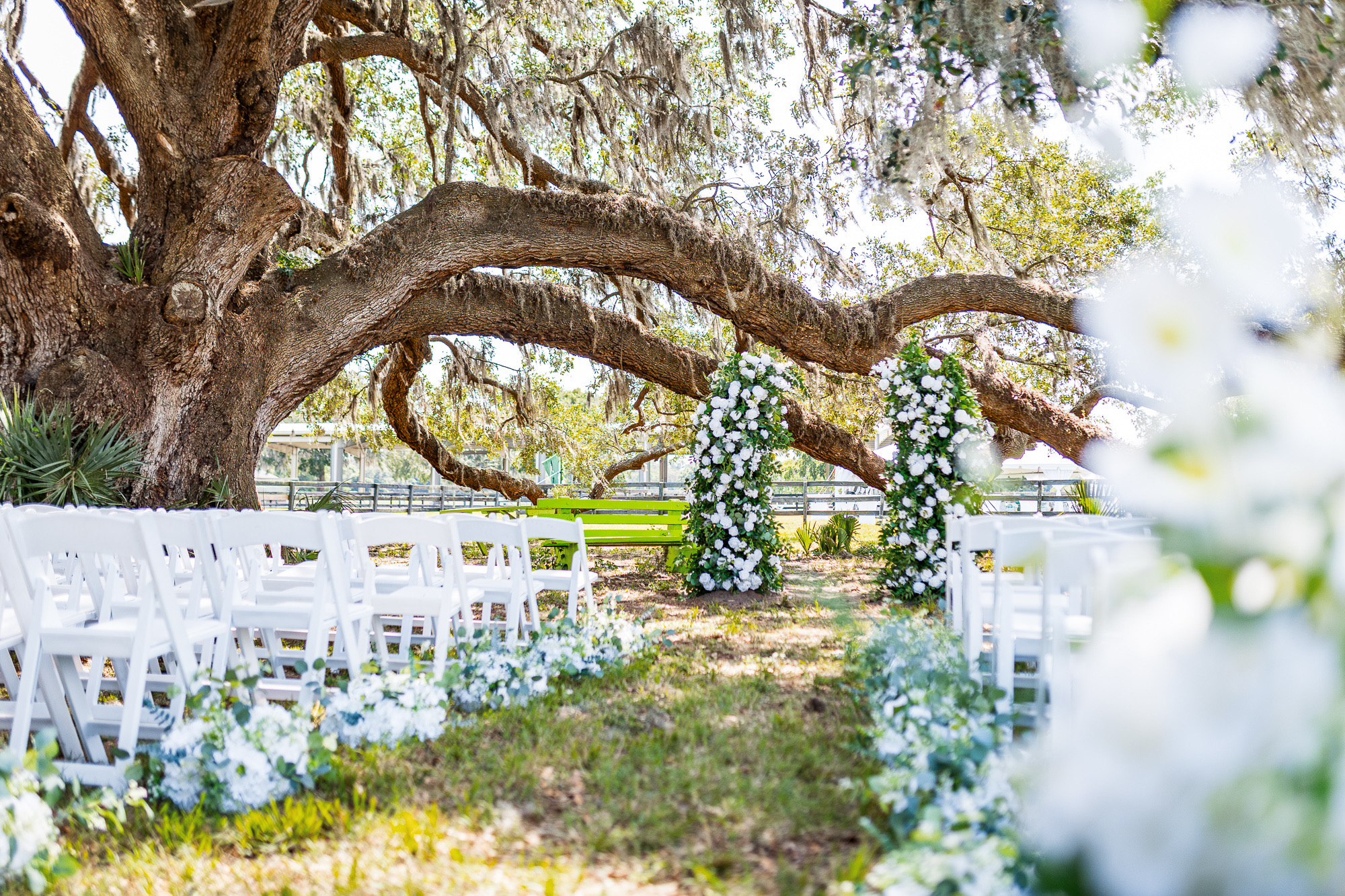 A flower-lined ceremony aisle beneath the live oak